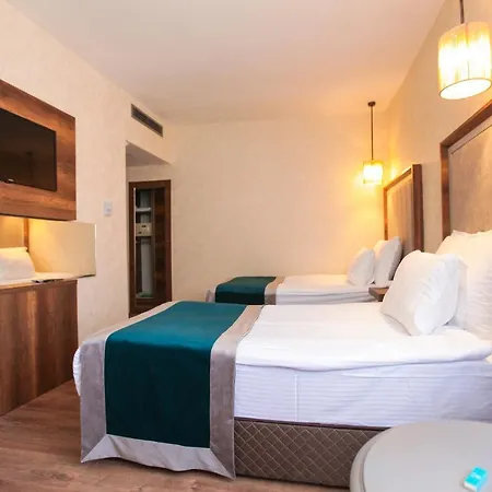Hotel The Life & Ankara