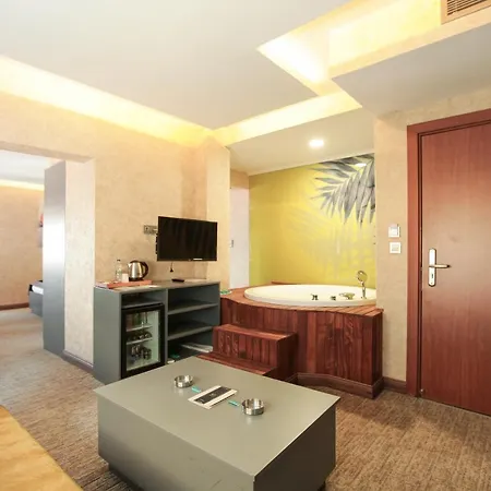 Hotel The Life & Ankara